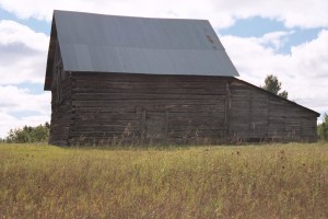 Photograph by William Tapaninen