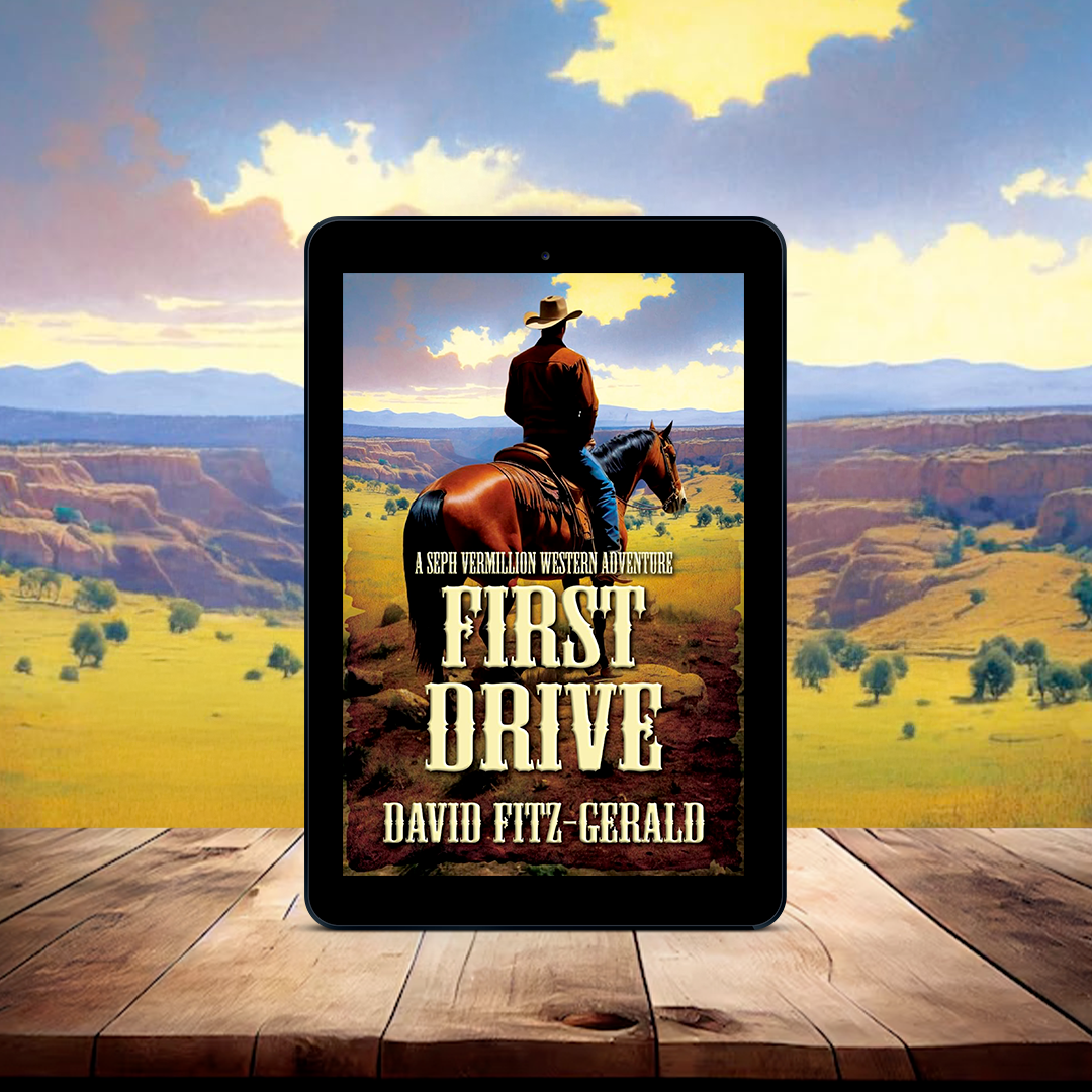 First Drive by David Fitz-Gerald | Nina Soden