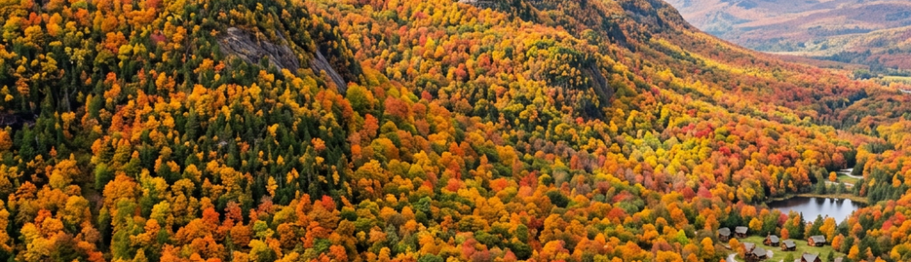 Colorful fall trees covering a mountainside